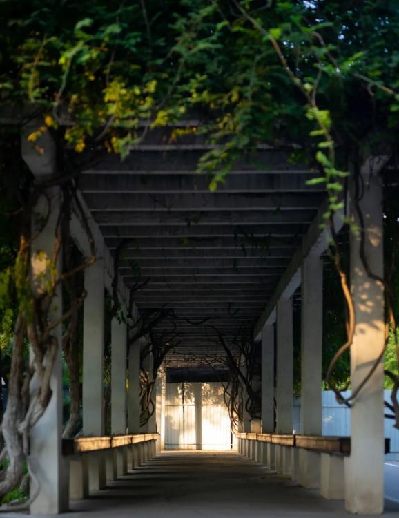 学长学姐肺腑分享助你一臂之力_高考冲刺_高考倒计时10天备考试心得