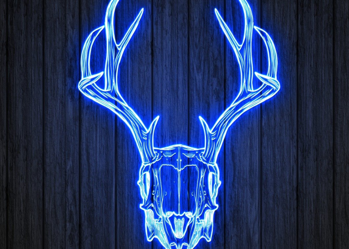 危机远未结束、数字下降、美国疫情数据背后的真相